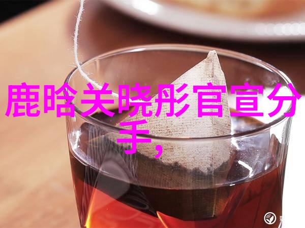 韩国搞笑综艺-笑声满屋揭秘韩国最火热的喜剧秀