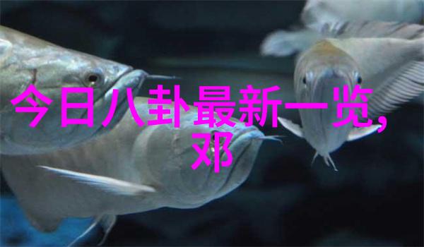 天人合一易经生辰八字之谜