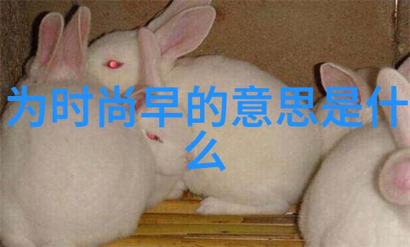 左祭司如同一位拥有千花盛开的园丁江奇霖则是那位为周奇奇庆生时的豪迈大师他的喊话如同一道闪电划破夜空我