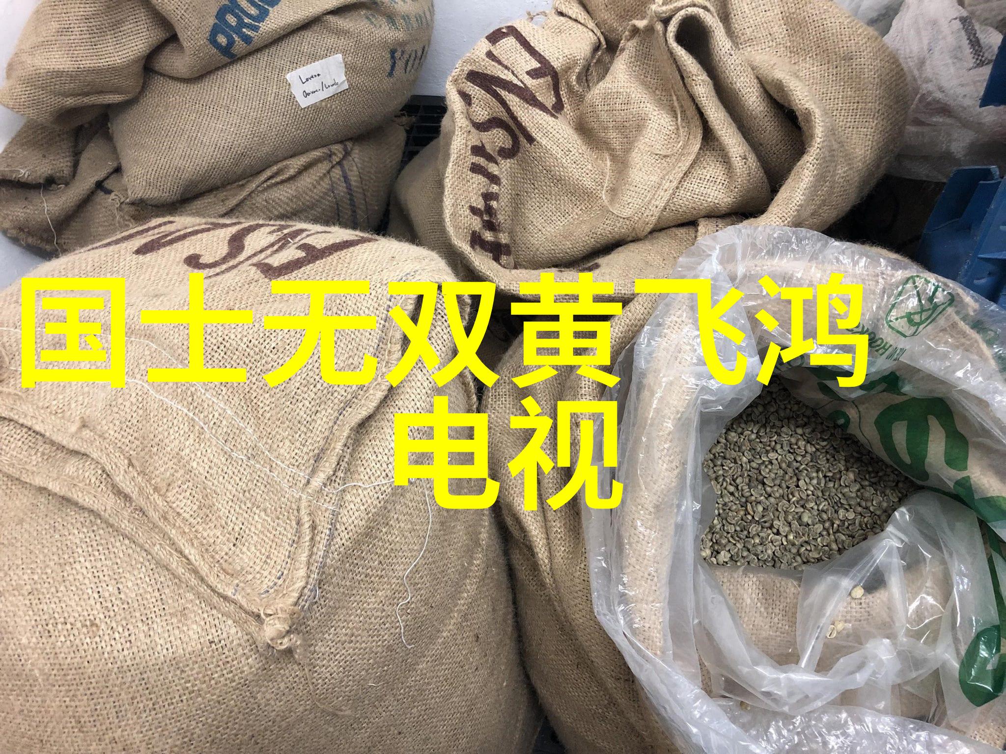 电影与电视节目的大集合探索影视艺术的无限可能