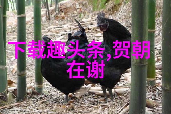 主题-101的秘密解锁成功之门