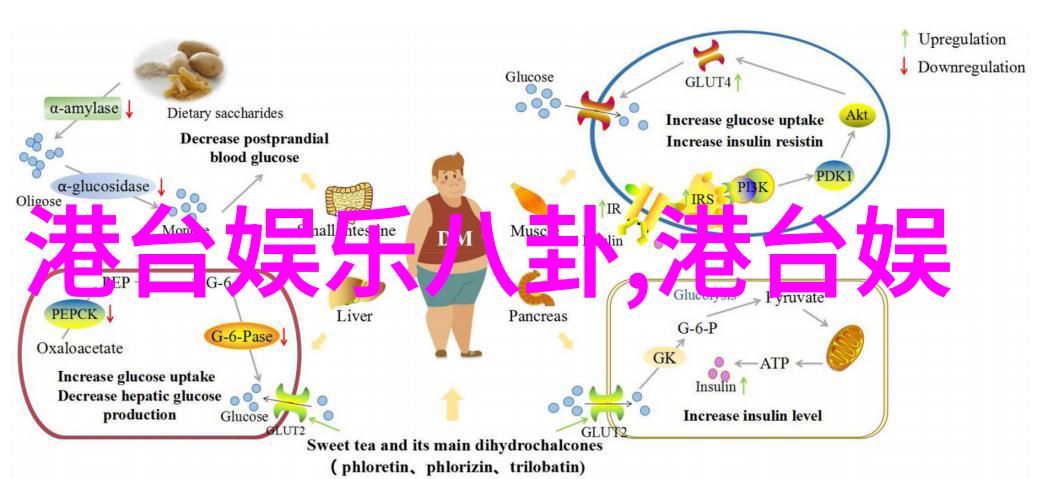 捕捉瞬间的美艺术与技巧的完美结合