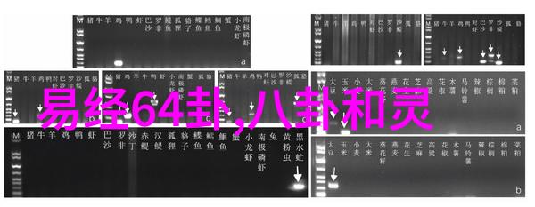 王俊凯的退圈背后是一段怎样的故事