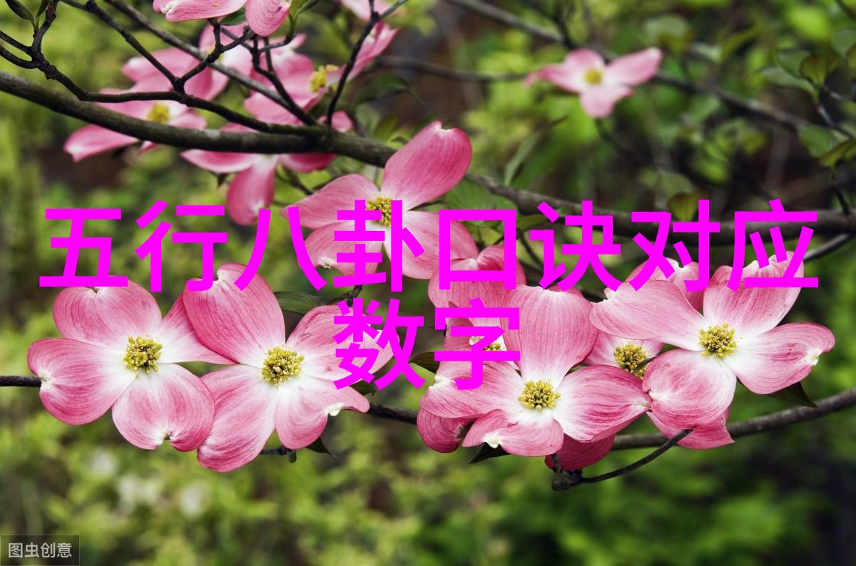 美艳女神写真女性魅力摄影艺术