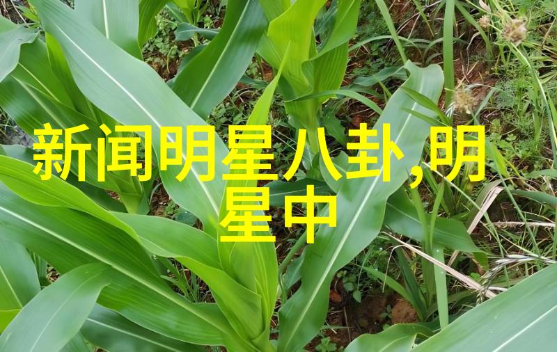檀健次亮相欢乐一家人星光闪耀的娱乐盛宴
