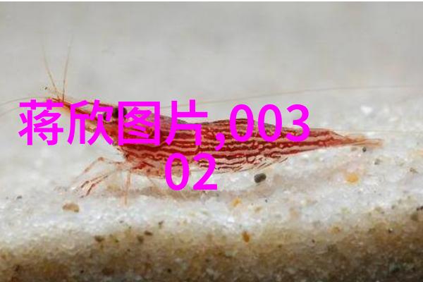 左手亲情右手爱自然中的可爱与好演
