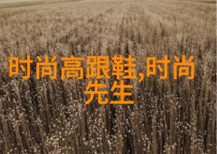 台湾现在又在经历什么样的变迁与挑战