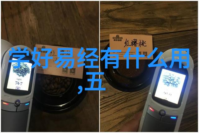 视觉叙事与情感共鸣写真视频在现代媒体传播中的应用与研究