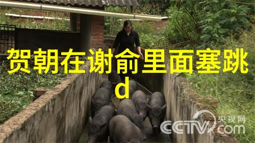 最终告别那英决定彻底退出娱乐圈