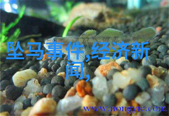 接了一个30厘米长的客人我的小窝突变成巨型酒店