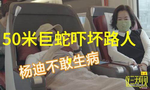 慕容湮儿的秘密生活替身皇妃的双重生活
