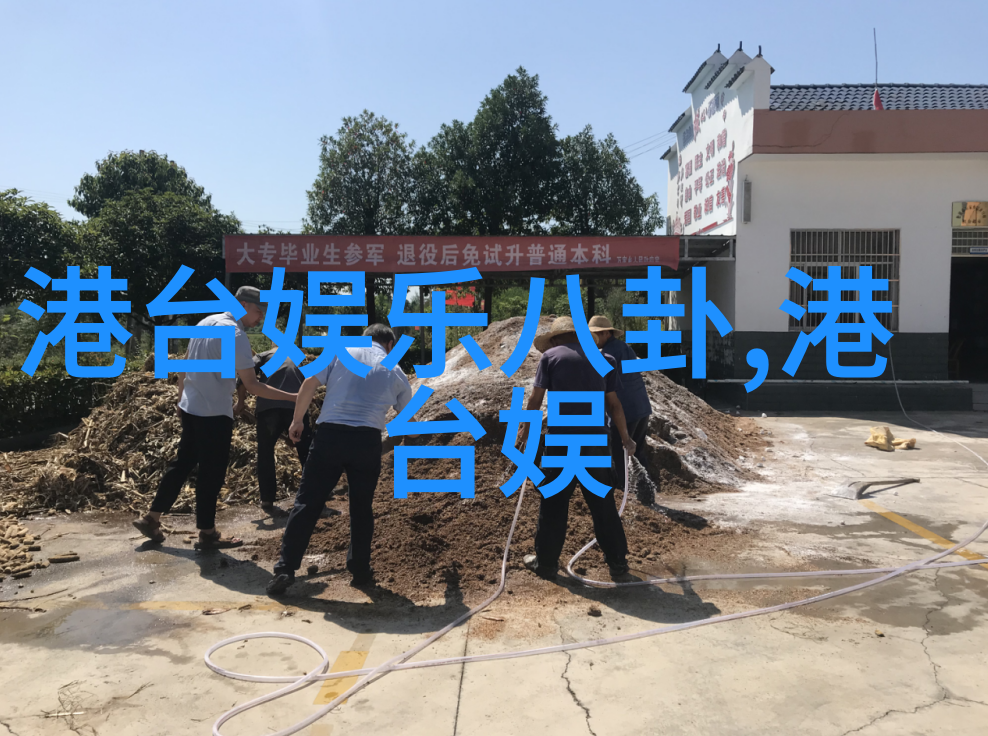 网络文化中的个体形象塑造从弯弯网红的个人资料分析