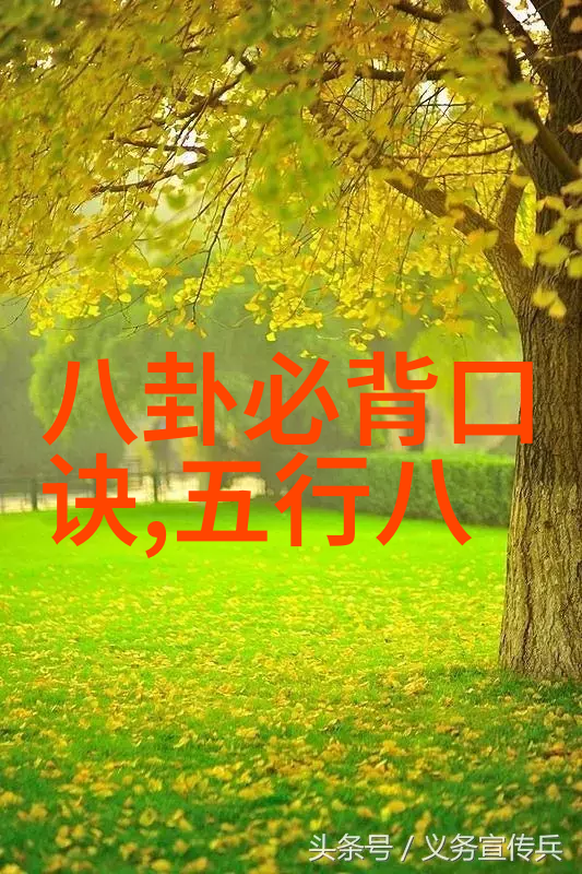 八卦口诀之谜解锁天地秘密的智慧篇章