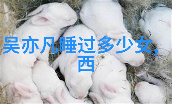 娱乐圈热点今日15条新闻头条解析
