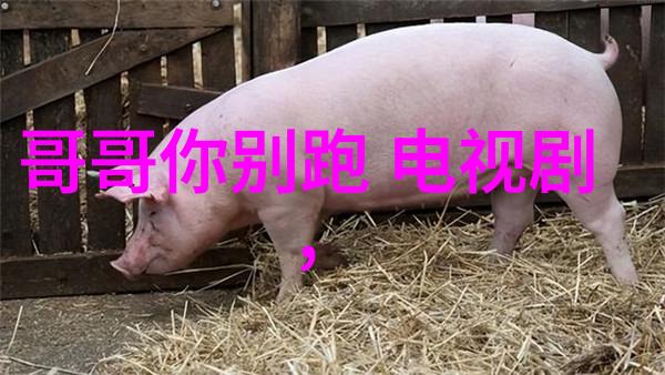 手机剧情精彩移动影视娱乐新趋势