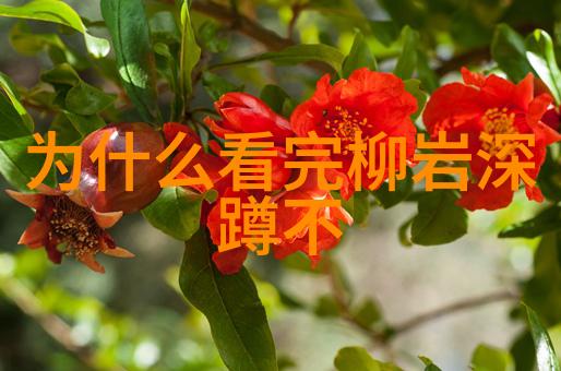 天地八卦图解析揭秘宇宙运转的先后之序