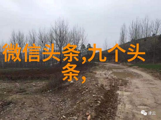 后天八卦与五行-揭秘古代占星术后天八卦的力量与五行运用