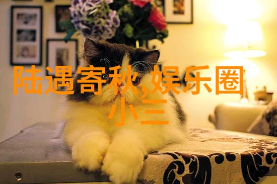 波多野结衣的300个笑话首映揭秘拍摄中的趣事与宫廷秘史分享会