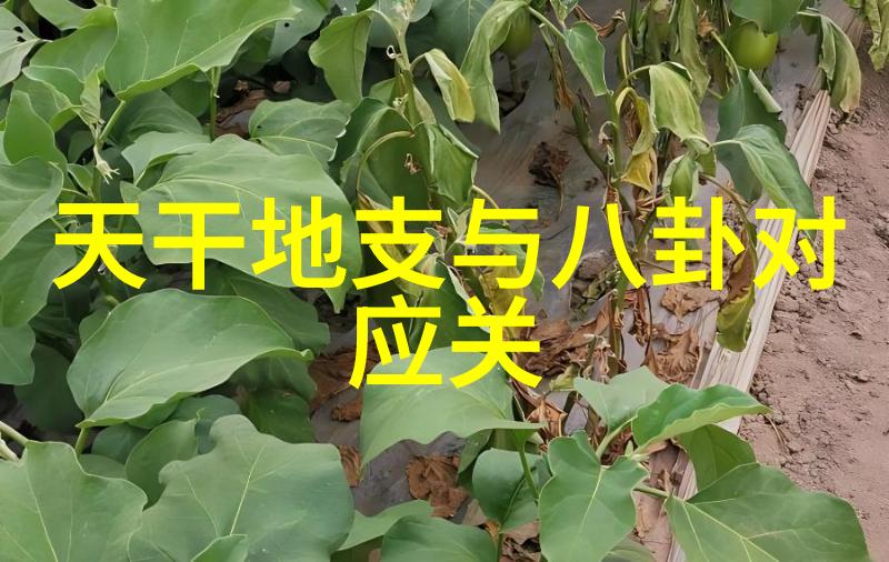 国家敢动娱乐圈吗揭秘幕后国家在玩弄娱乐大棋