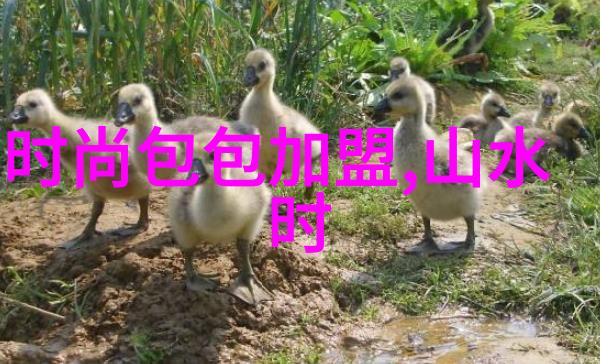 时间与空间的对话易经生辰八字在历史文化中的作用探究