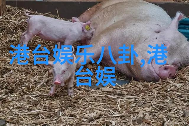 为什么大富大贵都是身弱财旺黄家强解散背后的丑陋真相曝光
