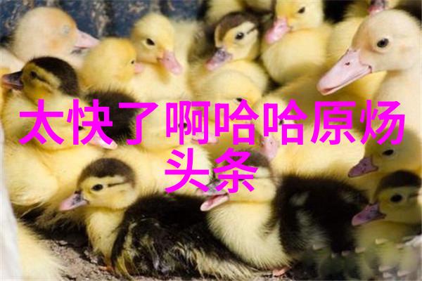 麻花星空影视传媒制作公司我在麻花星空遇见了电影的魔法