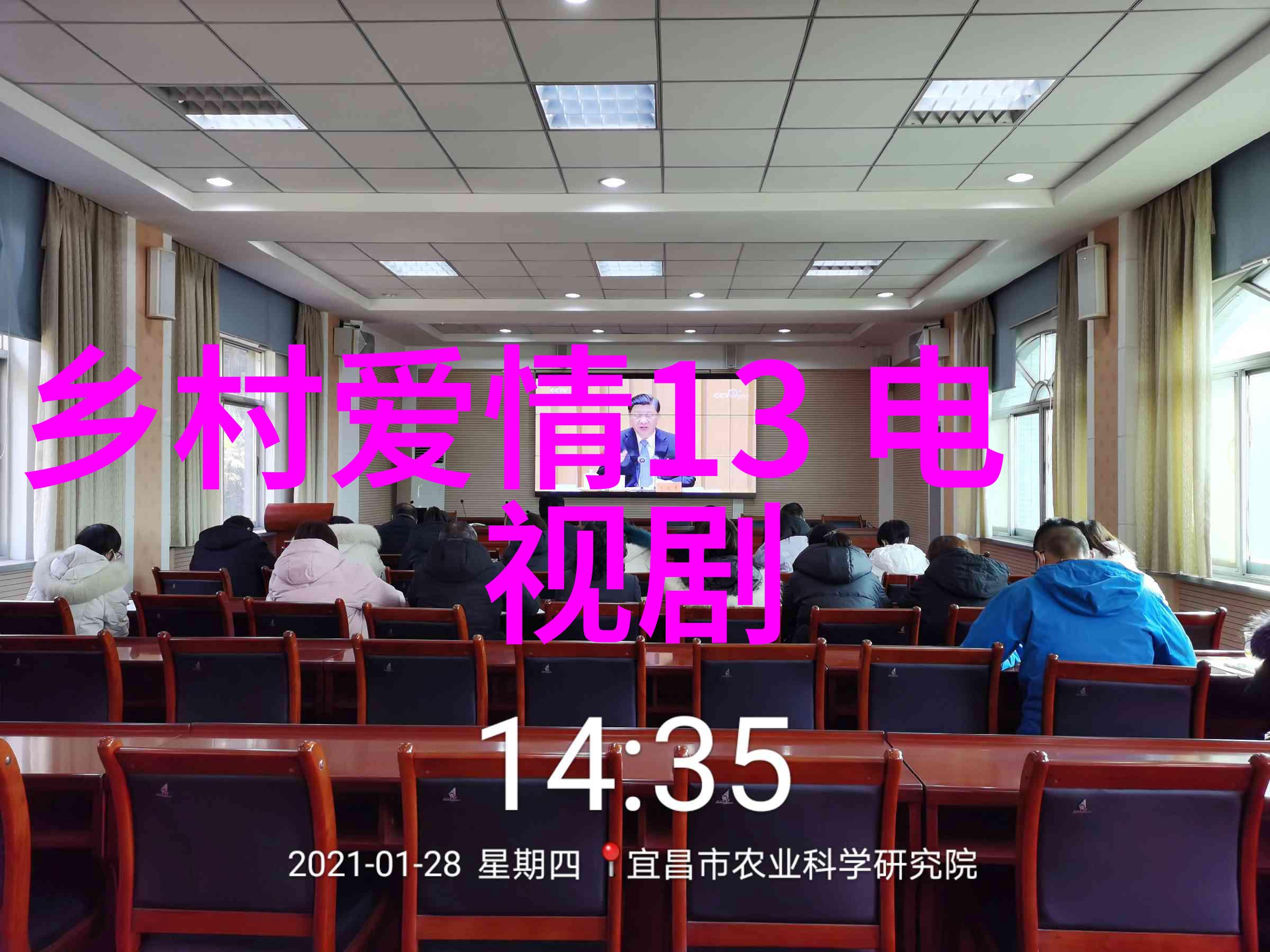 当代娱乐新闻动态分析探索网络平台对头条内容的影响
