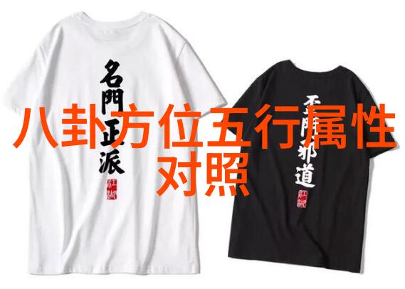 皇家御宠宛仪皇贵妃的风采与魅力