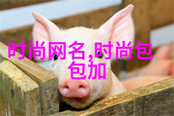 重庆隧道悲剧网红摩托车手意外离世的背后故事