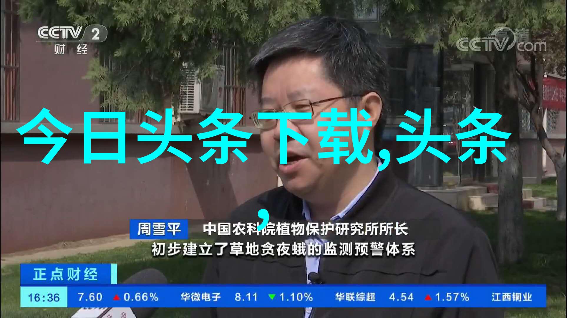 七七影视大全正版免费解锁电影世界的秘密门户吗