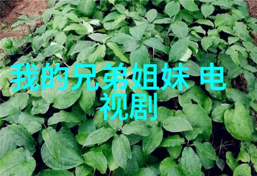 从我可以47综艺到成为一夜之间的网红