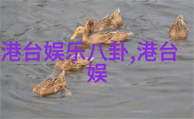 写真的艺术在现代社会扮演什么角色