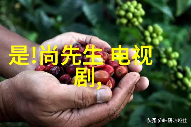 无罪辩护揭开真相的侦探故事