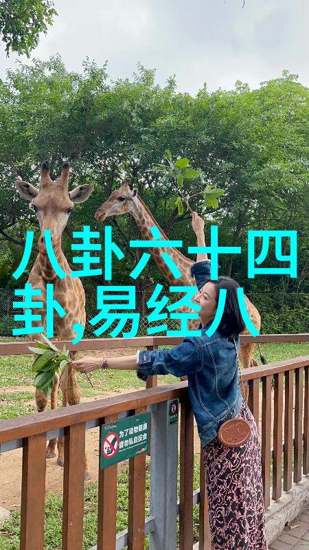 电视剧中的不懂撒娇女性形象研究一种对传统女性角色挑战的视角