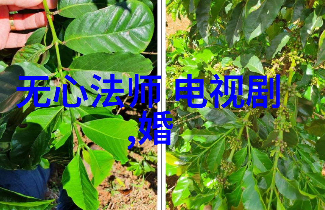 今日头条官网李雨桐难道不怕被揭穿薛之谦的聊天记录是真是假她怎么能这么轻易否认恋爱期间未出轨的指控