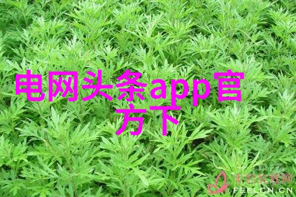 娱乐公司我是如何在一家娱乐公司的研发部门摸鱼的