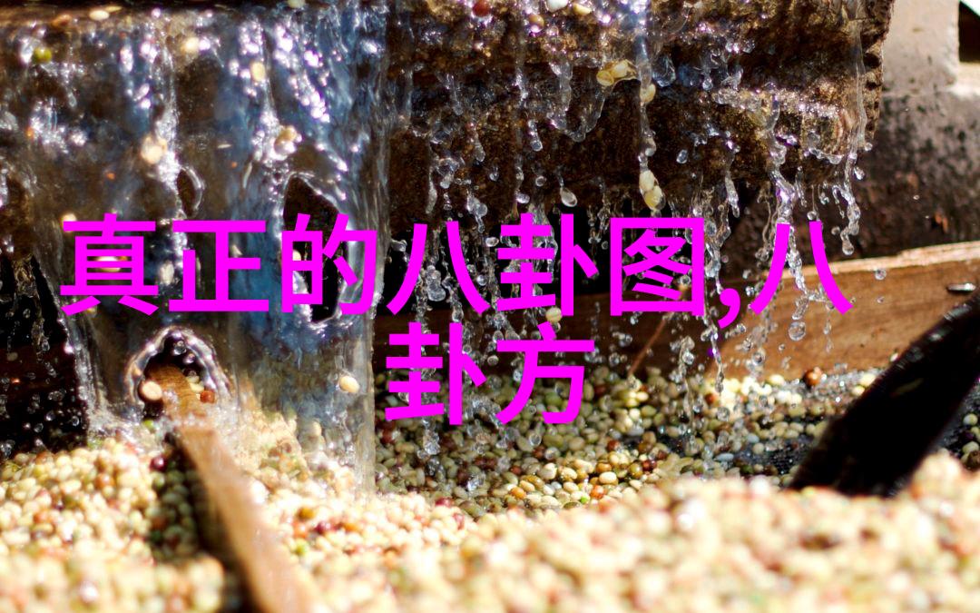 金黄翅膀下的盛宴