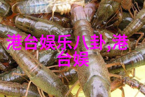 触动心灵的大胆拍摄技巧分享会
