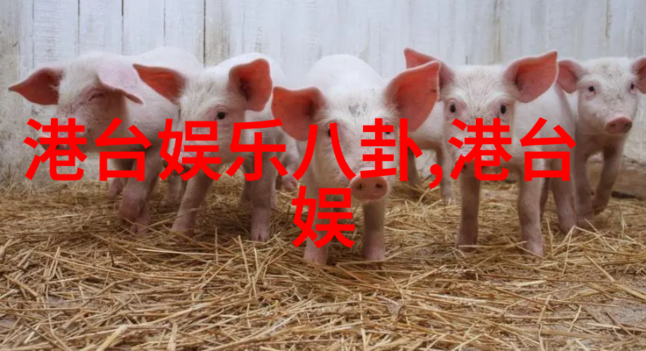 欧阳娜娜抢占日本市场秘密感冒赴日宣传背后的敬业精神