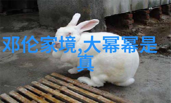 探秘五行天宇宙的谜团与人类智慧的追寻