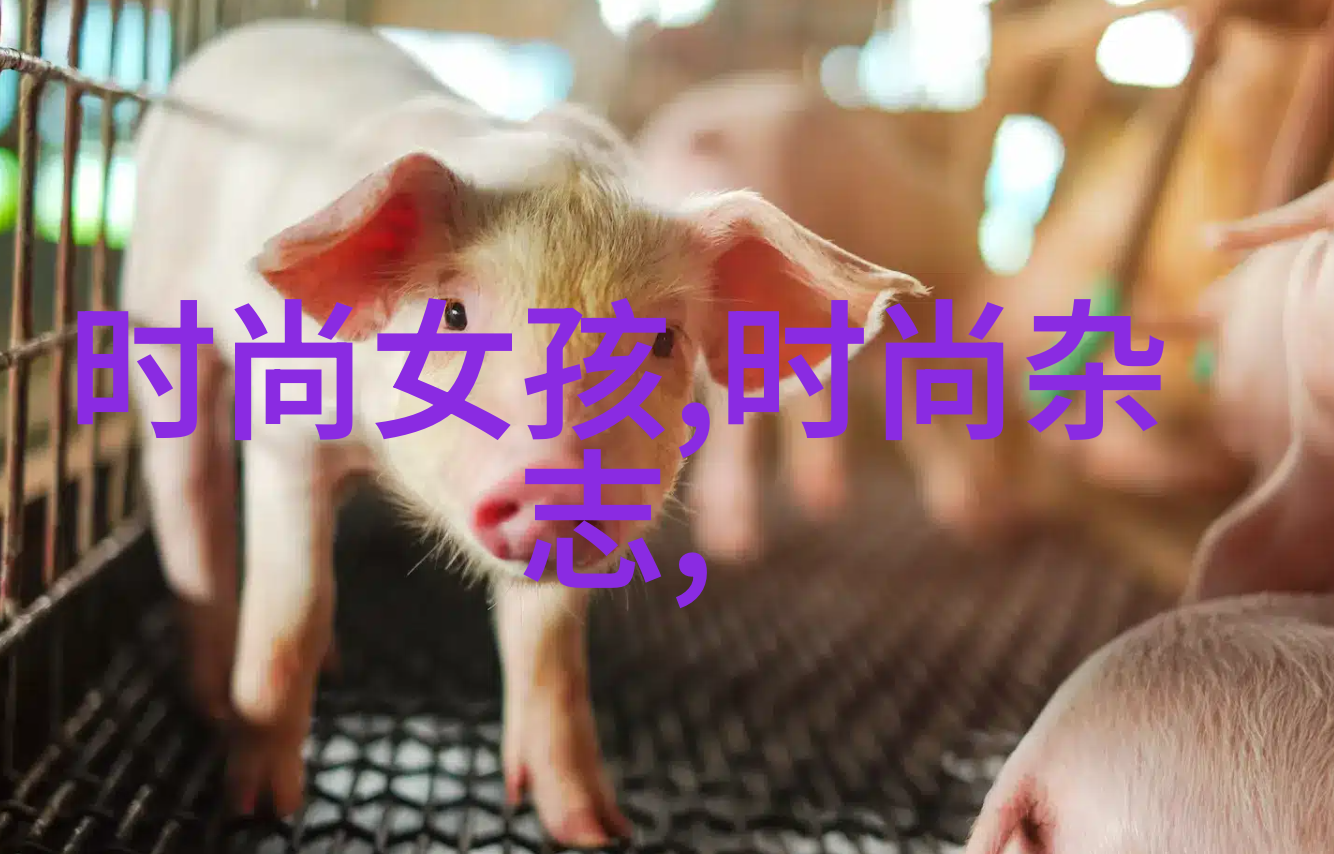 青春娱乐网时光的旋律与梦想的舞台