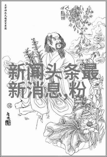 写真艺术摄影捕捉瞬间的美解锁画面的深度