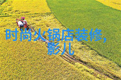 俄中合作新里程碑巨额援助开启双方未来发展的新篇章