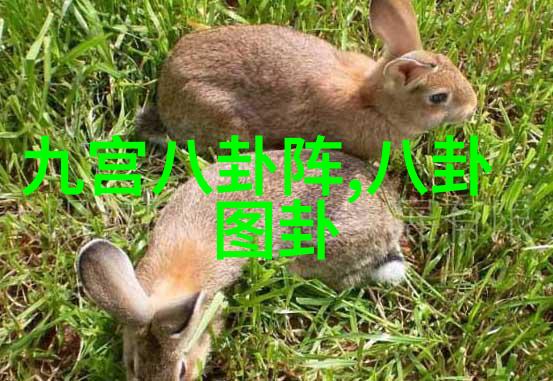 娱乐公司我是如何在娱乐公司成为一名小有名气的艺人助理的