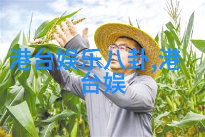 瞄准你的心情感共鸣的音乐节目