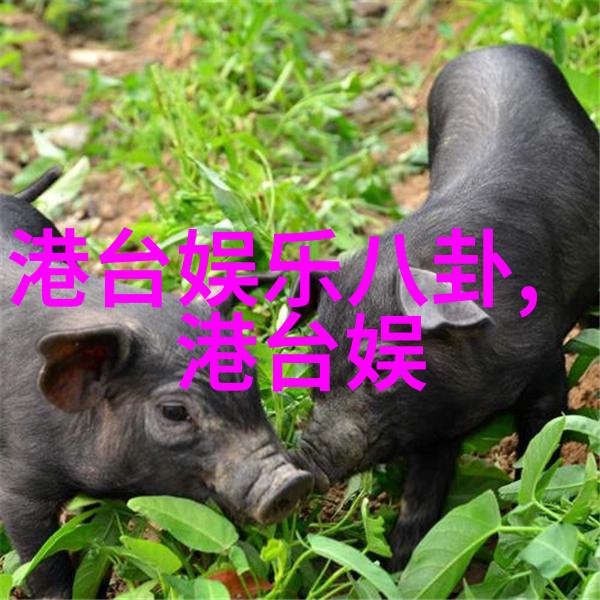 河南头条网春风化雨下的农村振兴故事