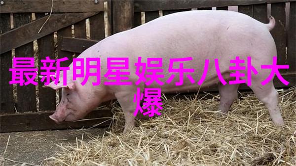 揭秘3分钟视频里的BCI大法从神经元到笑话星球