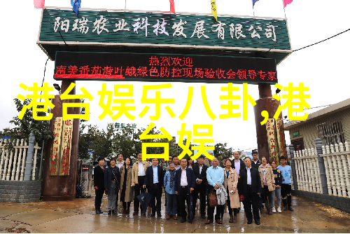 魅影视频幕后魅力与前台传奇