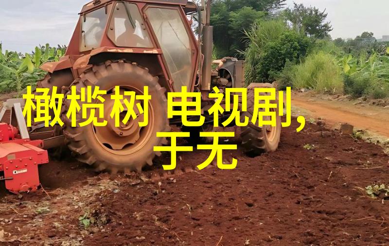 明星私生活大揭秘写真娱乐八卦年度盛宴