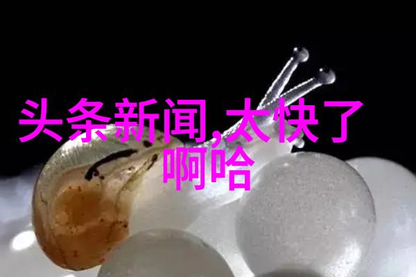 我的蠢萌老公电视剧浪漫生活的点点滴滴